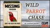 Wild Parrot Chase